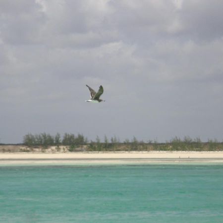 Chiky Villa واتامو المظهر الخارجي الصورة