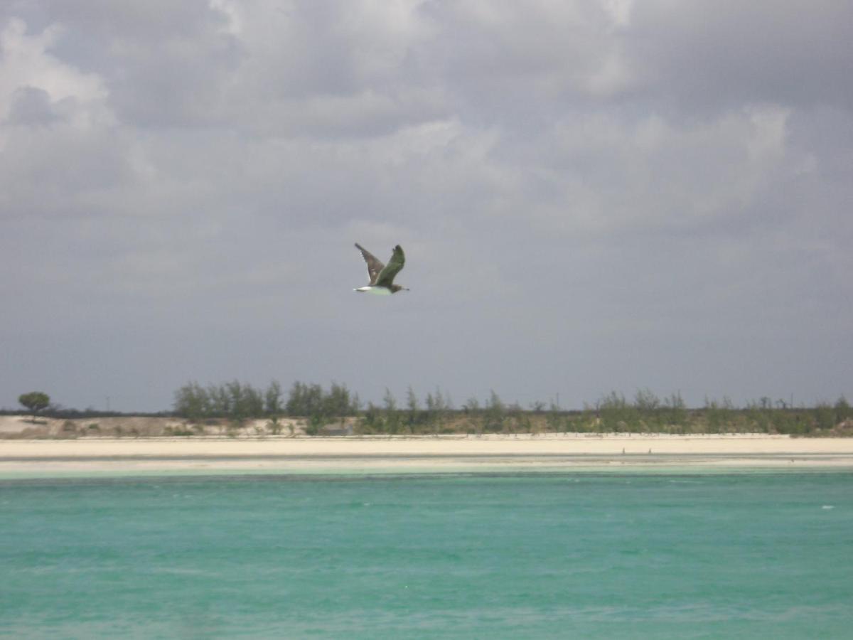 Chiky Villa واتامو المظهر الخارجي الصورة