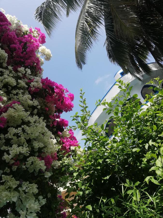 Chiky Villa واتامو المظهر الخارجي الصورة