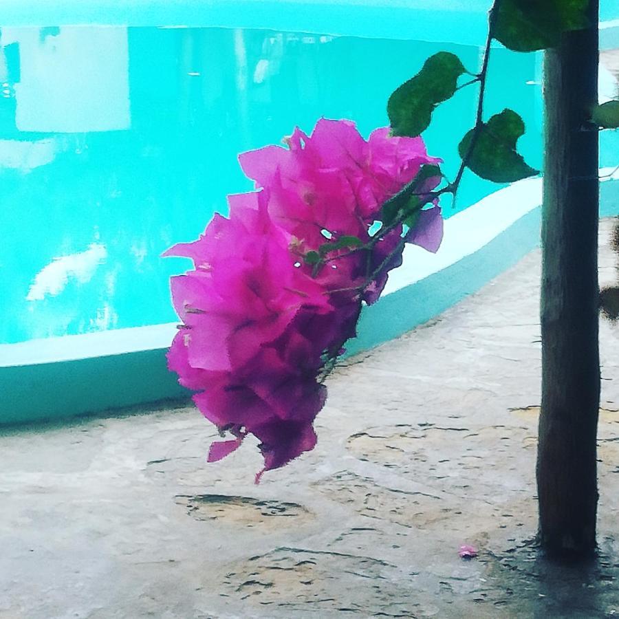 Chiky Villa واتامو المظهر الخارجي الصورة