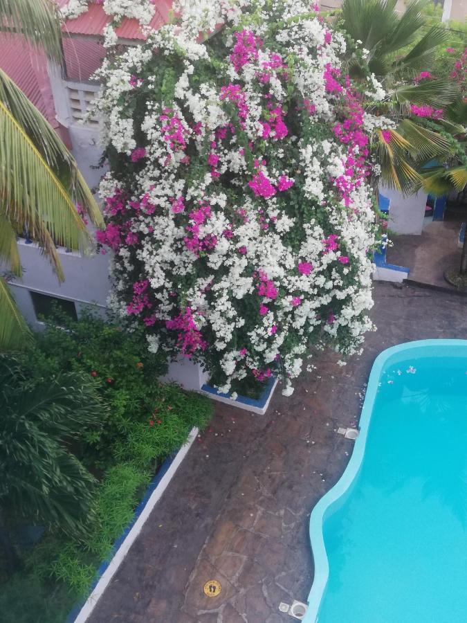 Chiky Villa واتامو المظهر الخارجي الصورة