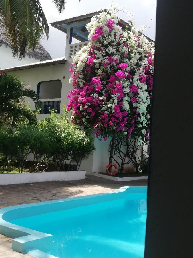 Chiky Villa واتامو المظهر الخارجي الصورة