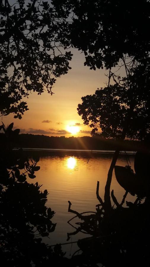 Chiky Villa واتامو المظهر الخارجي الصورة
